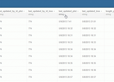 CartoDB's datatype picker in action.