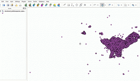 QGIS exporting our trees to shapefile format.