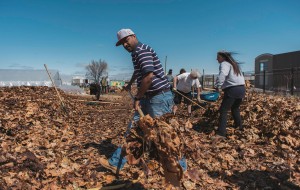 Volunteers clear leaves and debris during a volunteer event. Source: The Greening of Detroit.